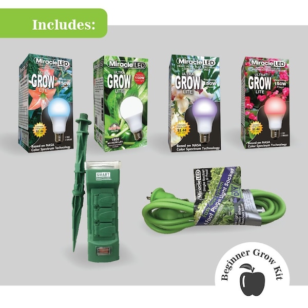 Classroom Gardener 4-Socket Corded Expert LED Grow Kit W/ Timer Controls, 6PK